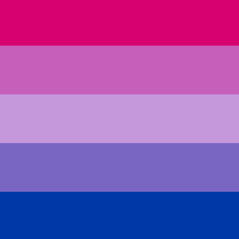 Bi Gay