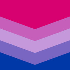 Bi Gay Chevron